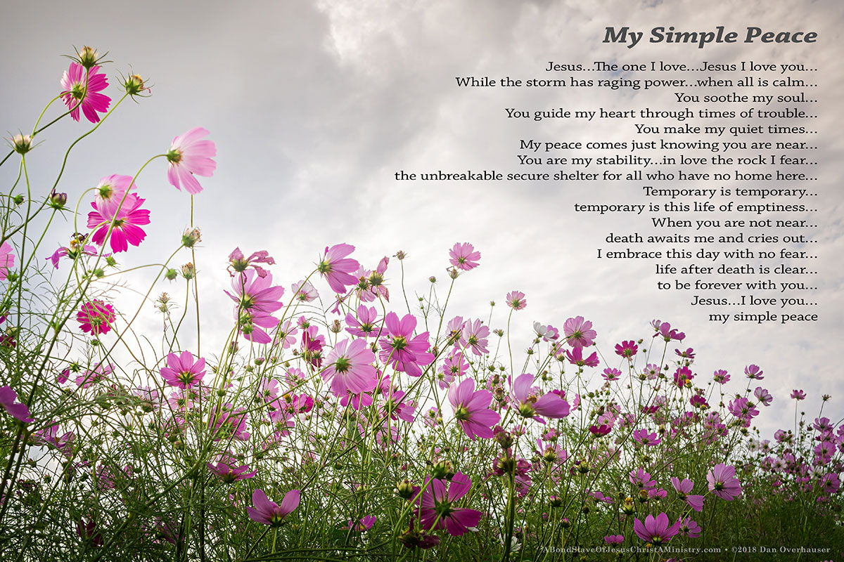 My Simple Peace